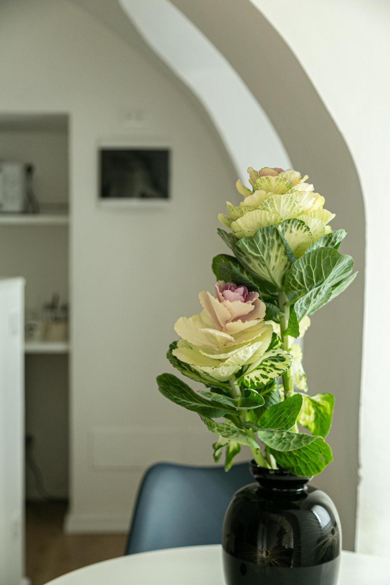 Casa Di Beppe Citta Alta Apartament